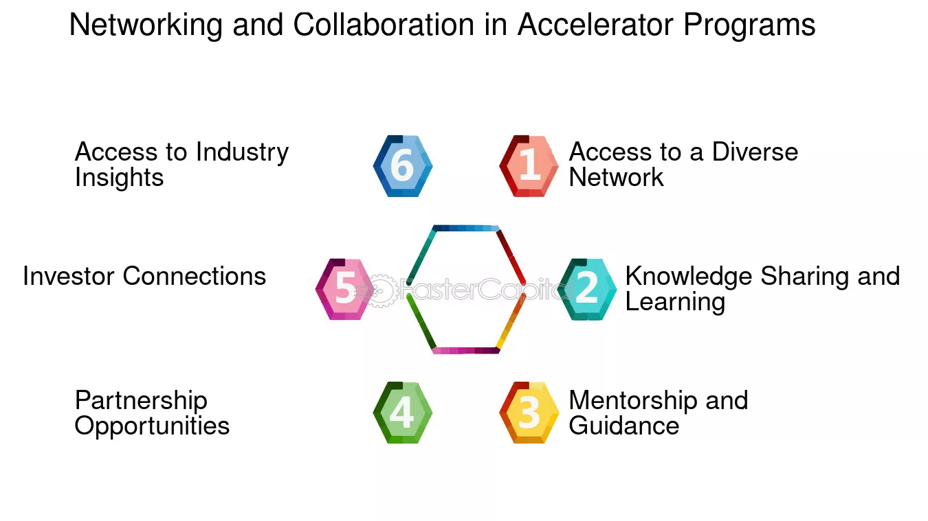 Networking and Collaboration in Accelerator Programs - Accelerator: How to apply and benefit from a startup accelerator program